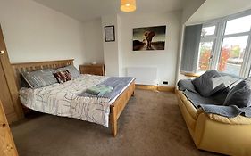 45 Mold Road